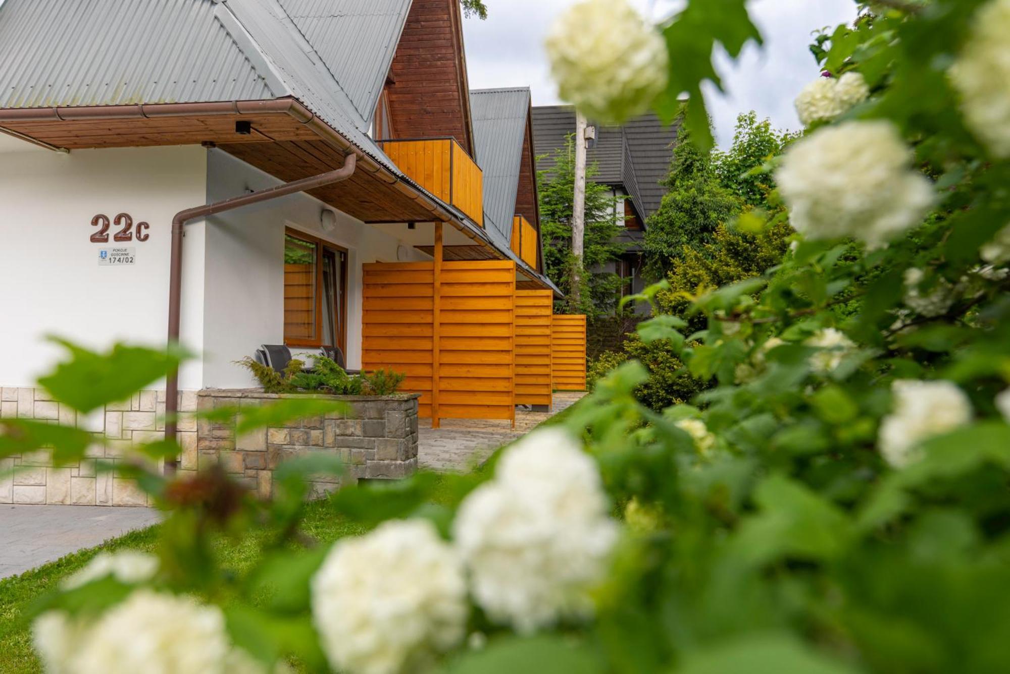 Apartamento Modrzew Zakopane Exterior foto