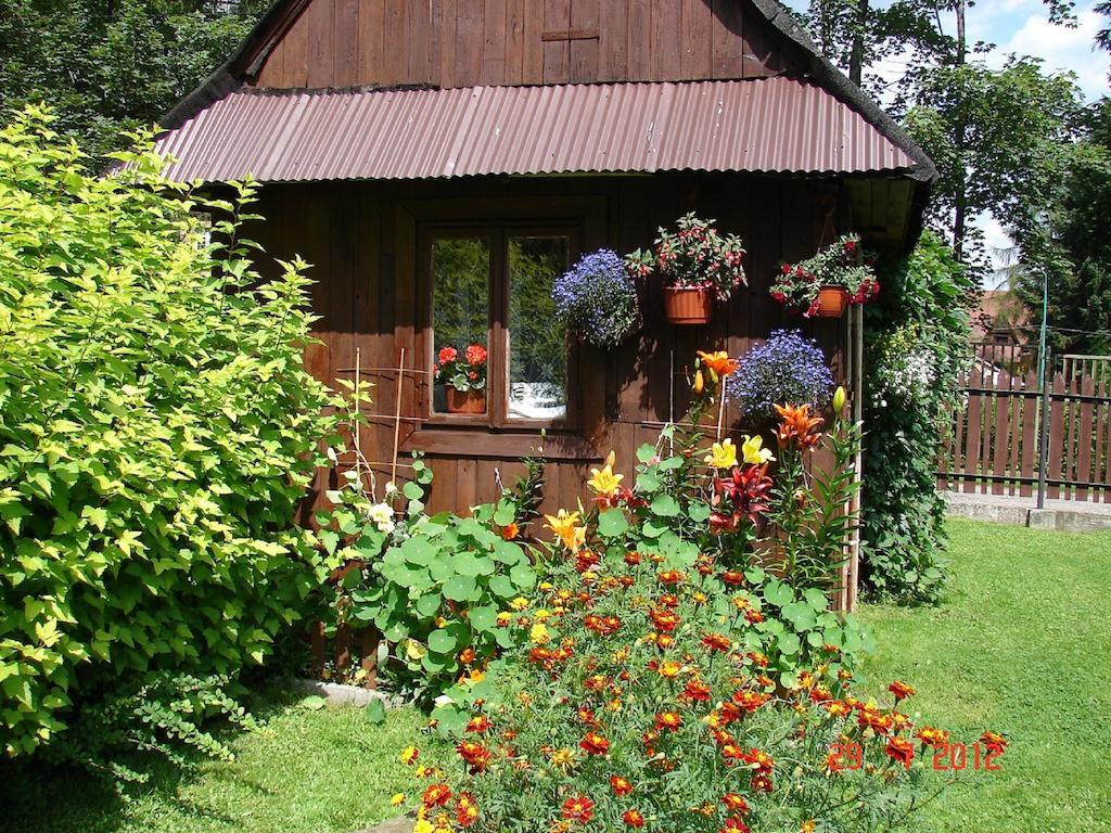 Apartamento Modrzew Zakopane Exterior foto
